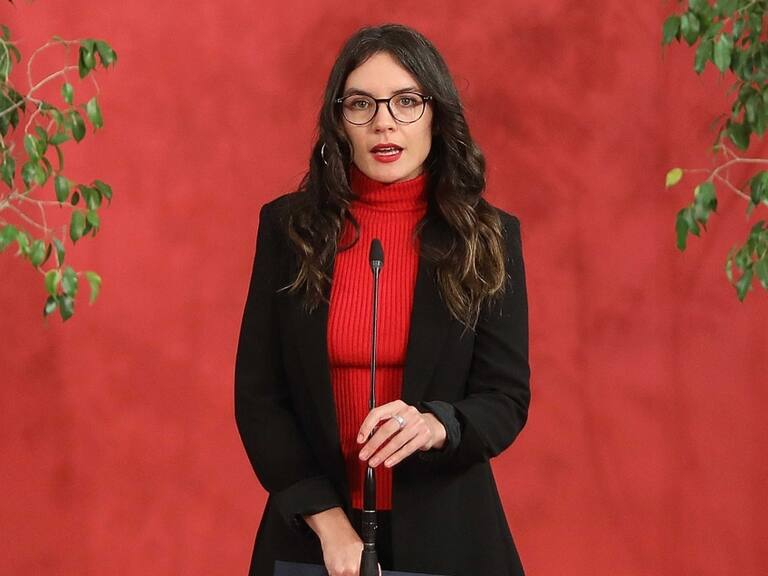 Ministra Vallejo afirma que solicitarán informes a Carabineros tras investigación a director de Dipolcar Luigi Lopresti