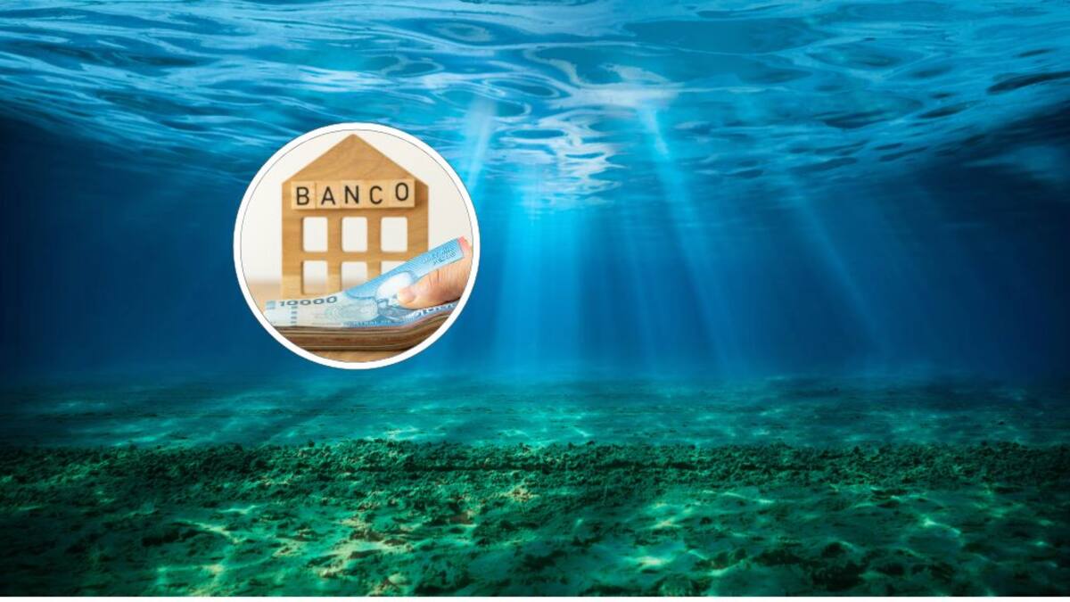 BancoEstado lanza el primer bono azul en el país: ¿De qué se trata y por qué es tan importante?