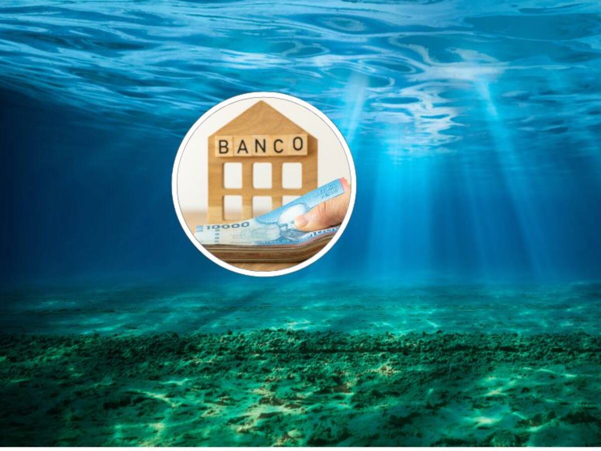 BancoEstado lanza el primer bono azul en el país: ¿De qué se trata y por qué es tan importante?