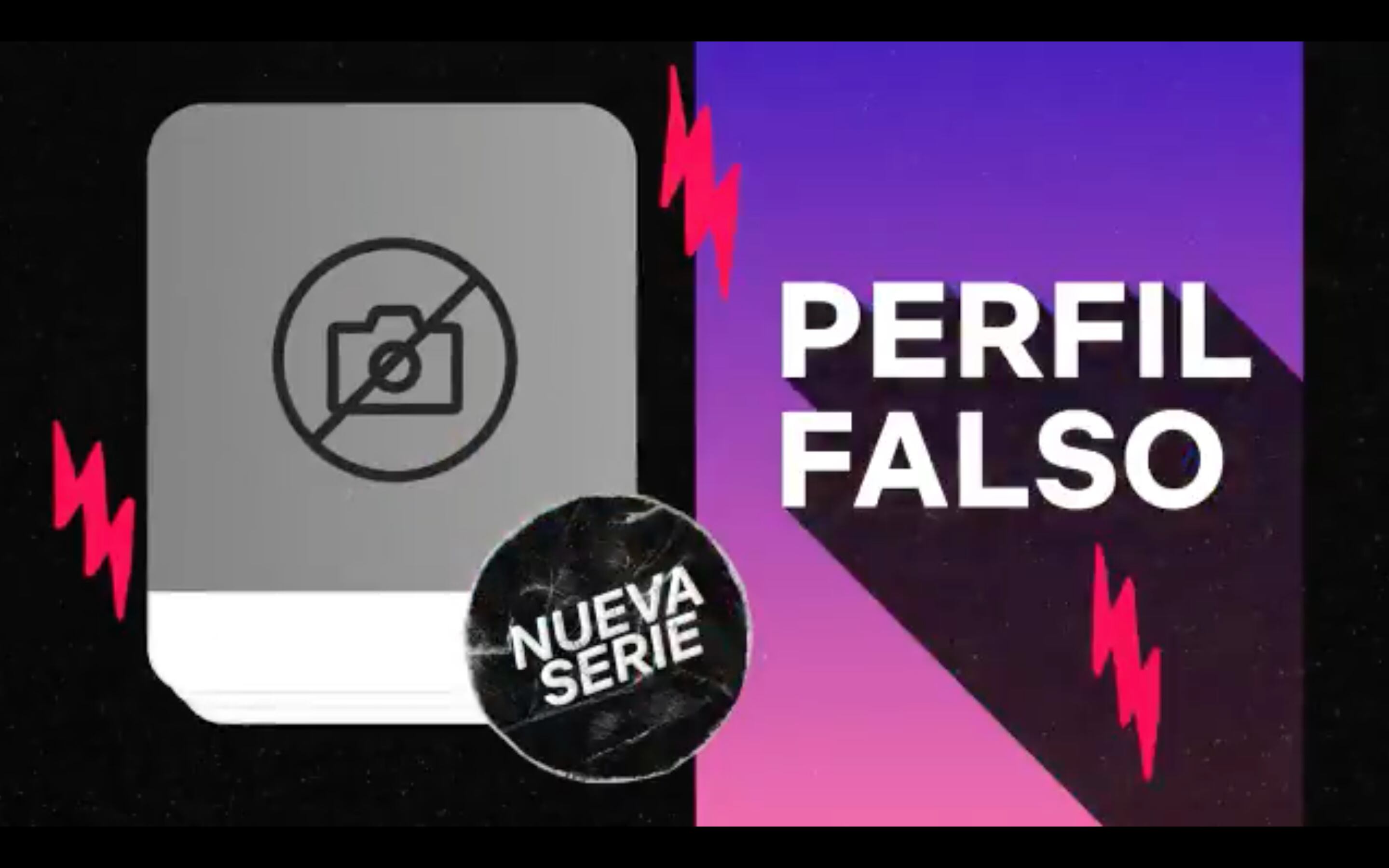 Serie Perfil Falso en Netflix