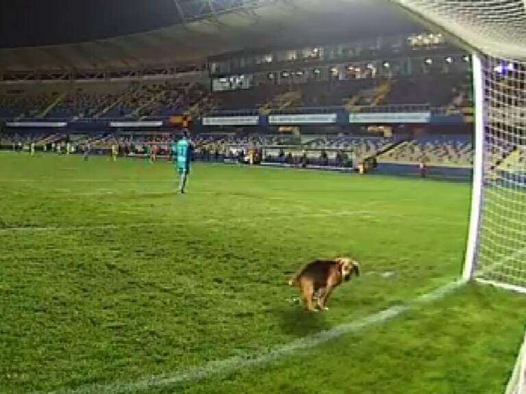 fernández vial u de concepción
