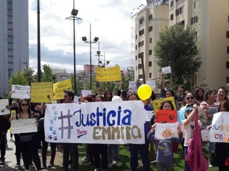 Justicia para Emma: El caso de maltrato animal que terminó con una pequeña gatita muerta