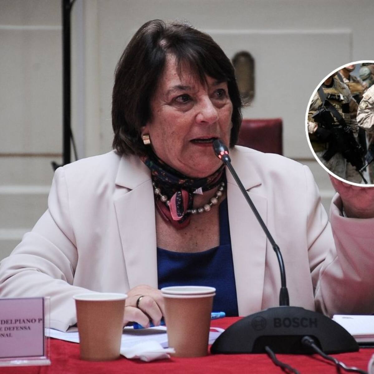 Ministra de Defensa instruye investigación sumaria tras robo de fusiles en regimiento de Valparaíso