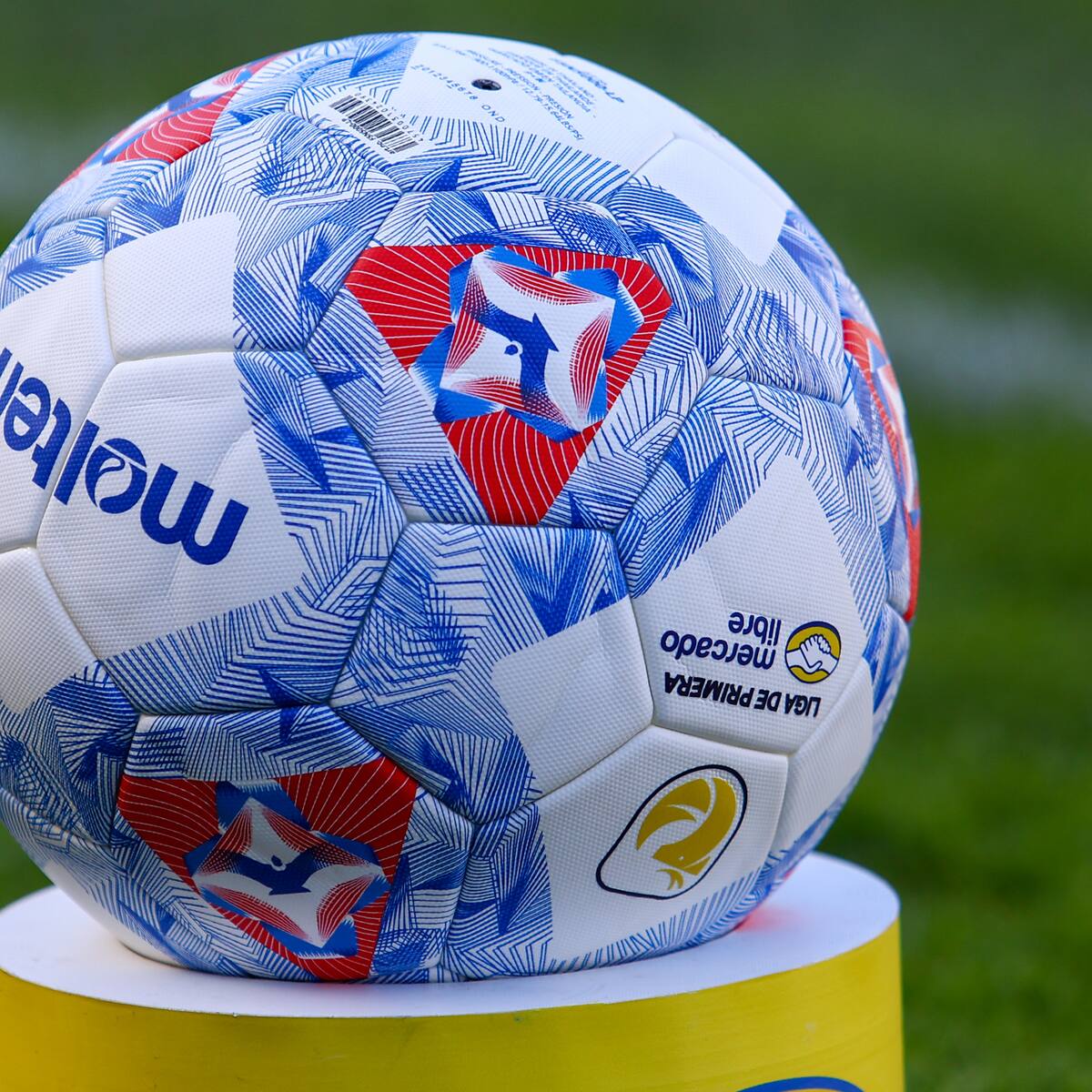 No va más: hay un nuevo DT caído en la Primera División del fútbol chileno