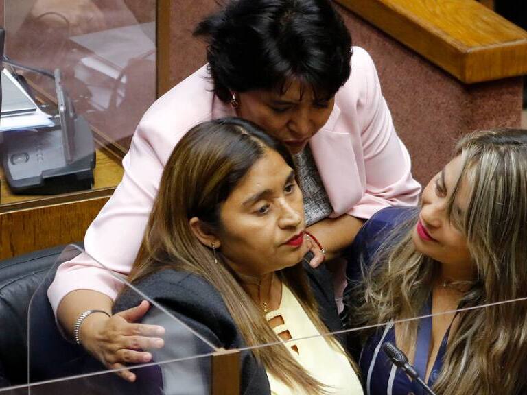 Fabiola Campillai y Karim Bianchi forman un comité mixto con los senadores de la DC