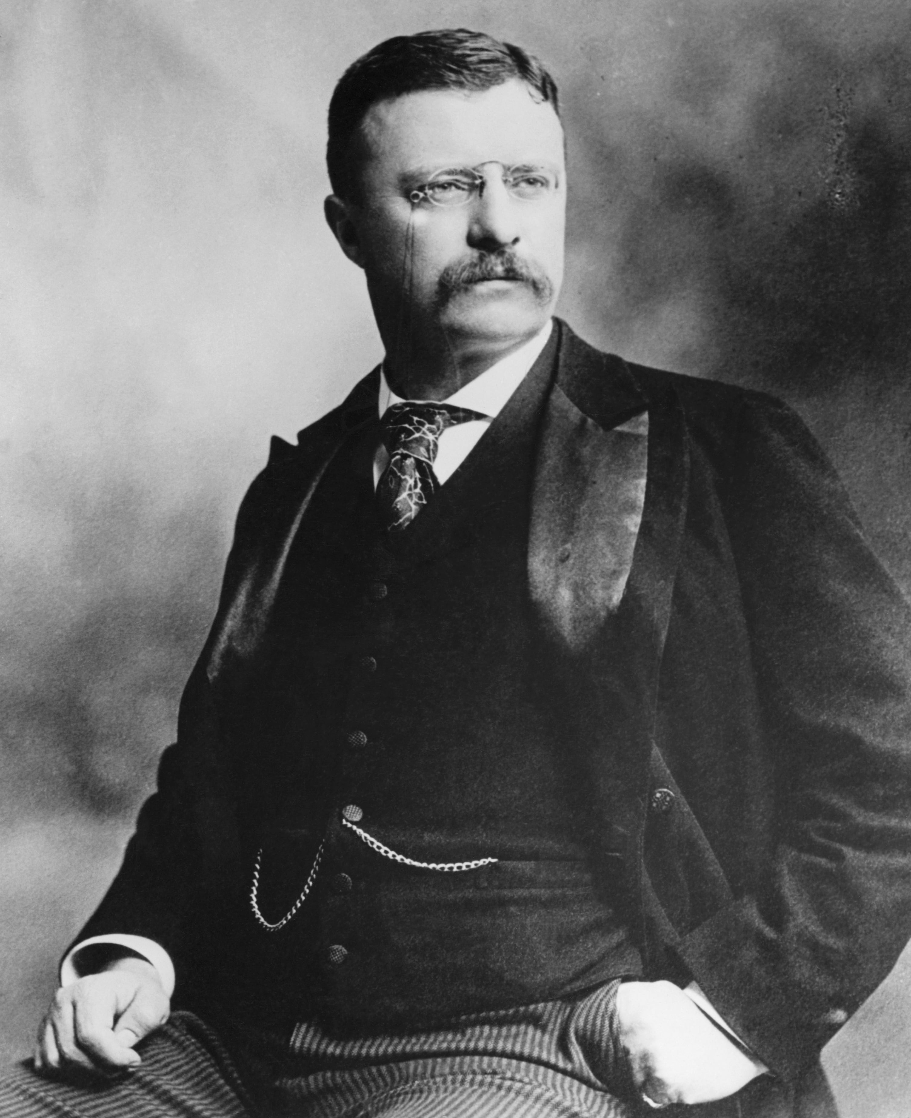 Theodore Roosevelt / Getty Images