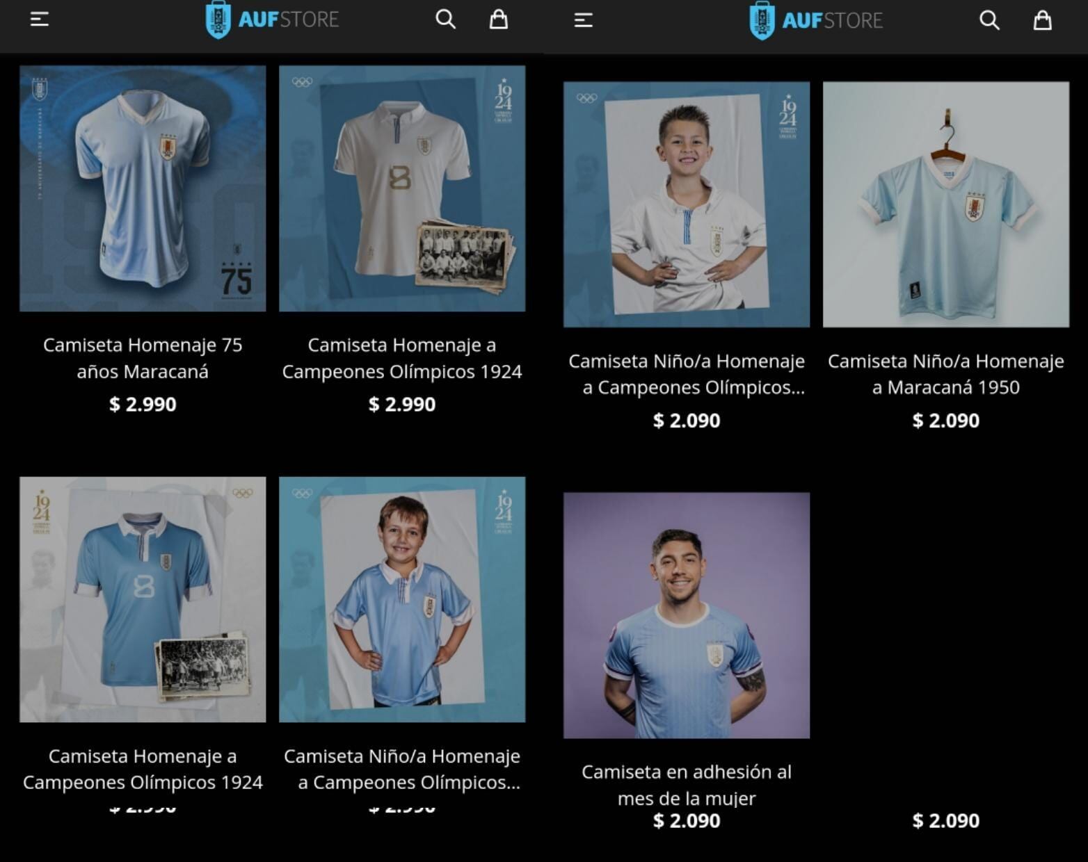 Tienda online de la AUF