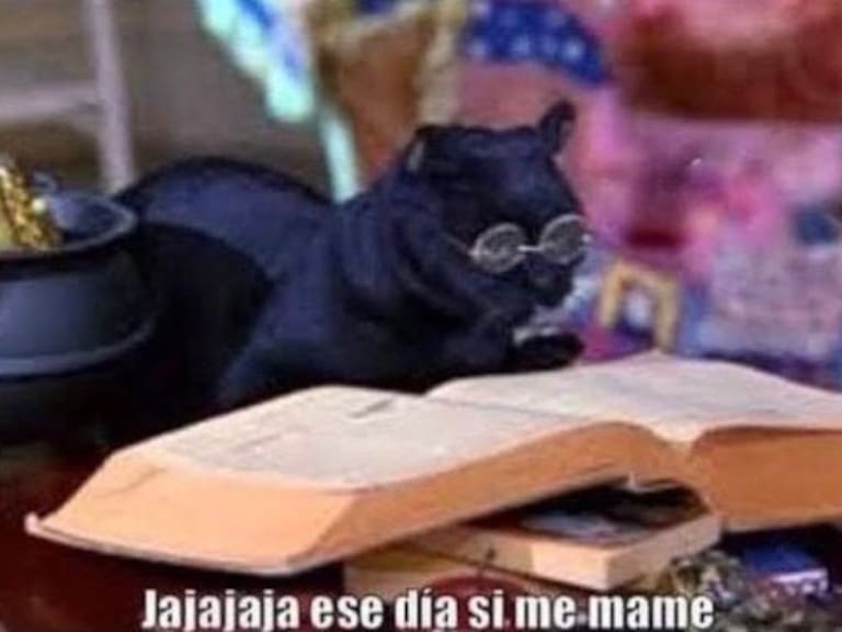 Los memes que dejó el estreno del cuarto capítulo de «Luis Miguel, la serie»
