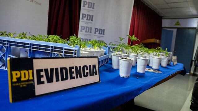 "Bang de Fujian": Así operaba en Chile la banda de la mafia china