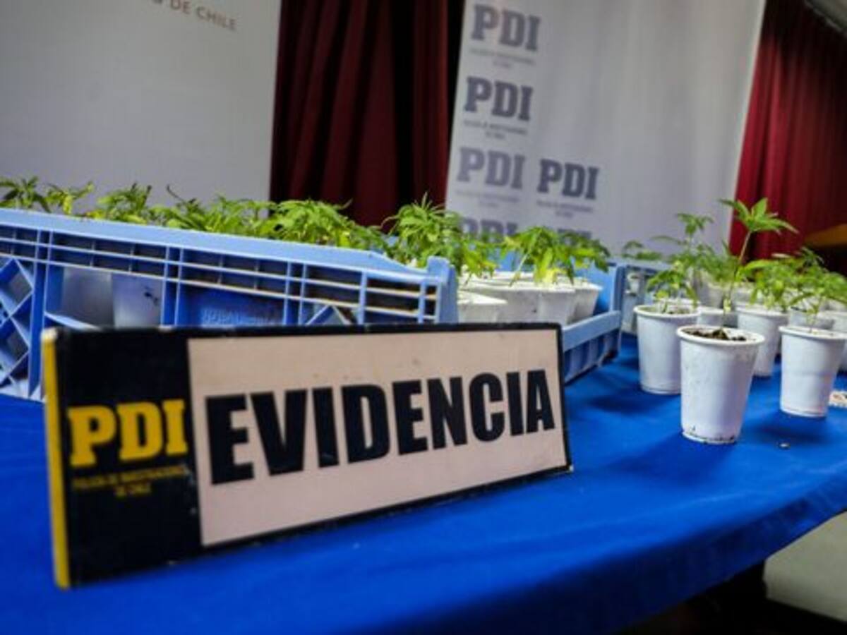 «Bang de Fujian»: así operaba en Chile la banda de la mafia china