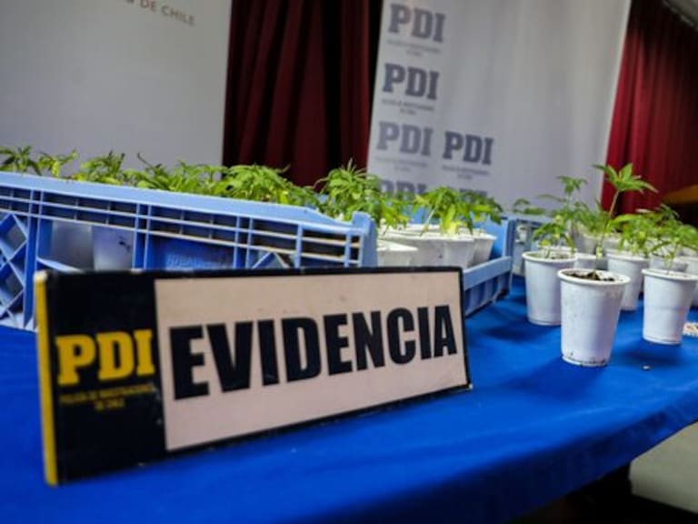 "Bang de Fujian": Así operaba en Chile la banda de la mafia china