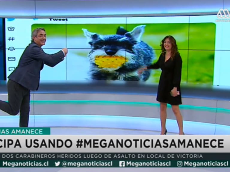 José Luis Repenning y Priscilla Vargas en Meganoticias | Captura Mega
