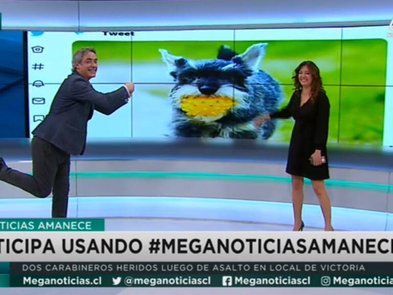 José Luis Repenning y Priscilla Vargas en Meganoticias | Captura Mega