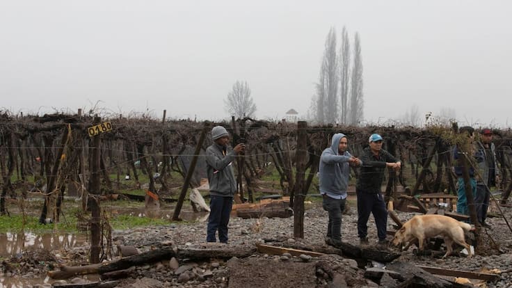 Gobierno declara emergencia agrícola en Atacama, Coquimbo y Valparaíso tras daños por temporales