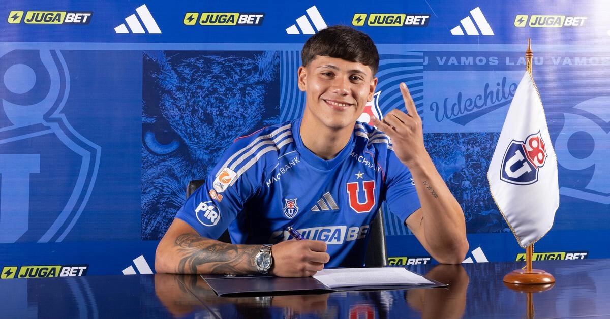 @udechile