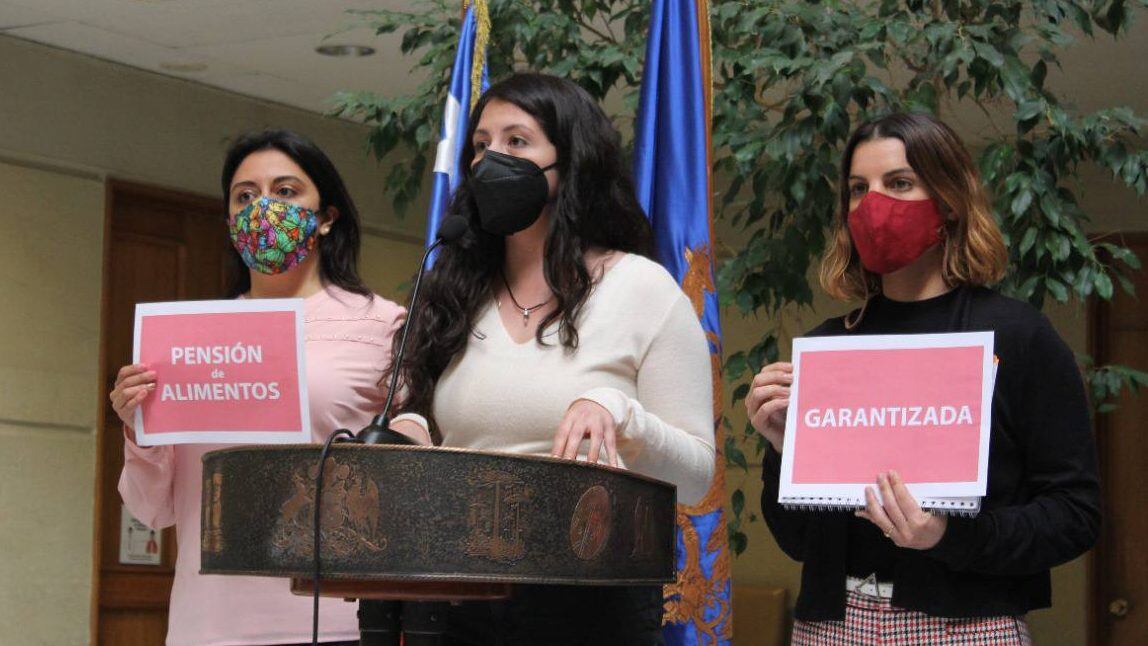 Presentaron proyecto para garantizar pensión de alimientos