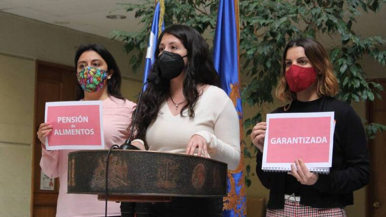 Presentaron proyecto para garantizar pensión de alimientos