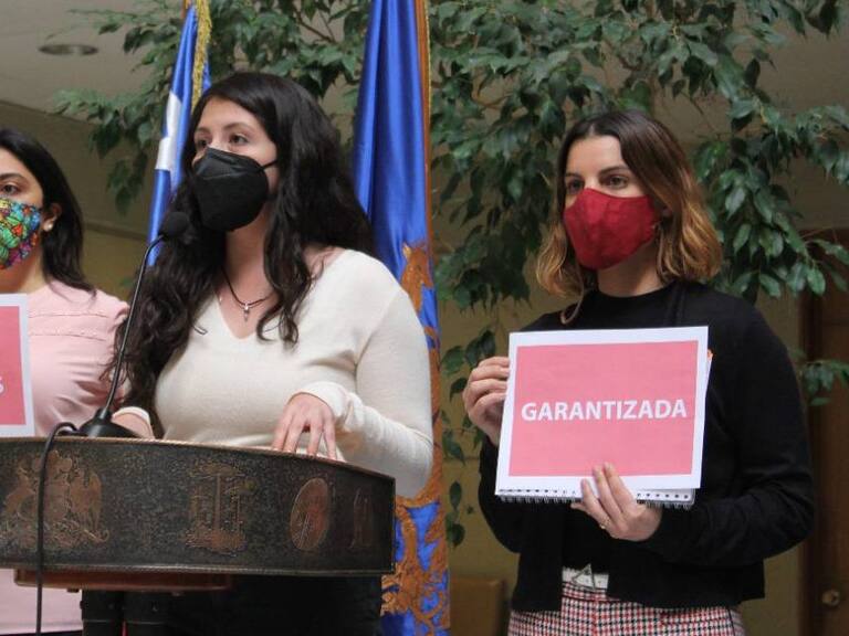 Presentaron proyecto para garantizar pensión de alimientos