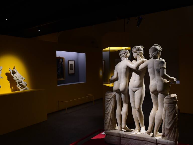 Nuevo estudio revela insospechado propósito original del ano