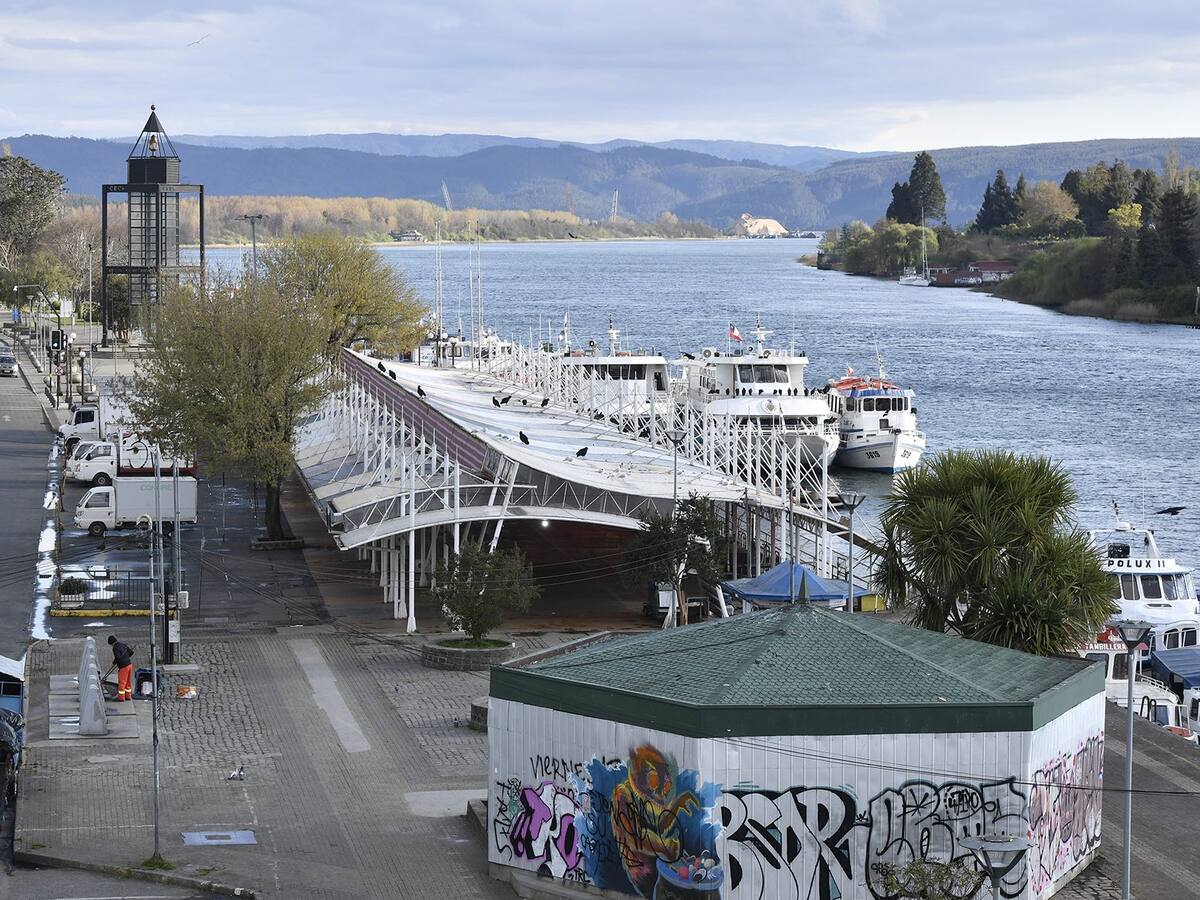 PDI indaga posible homicidio de joven mujer en Valdivia: Su cuerpo fue encontrado este sábado