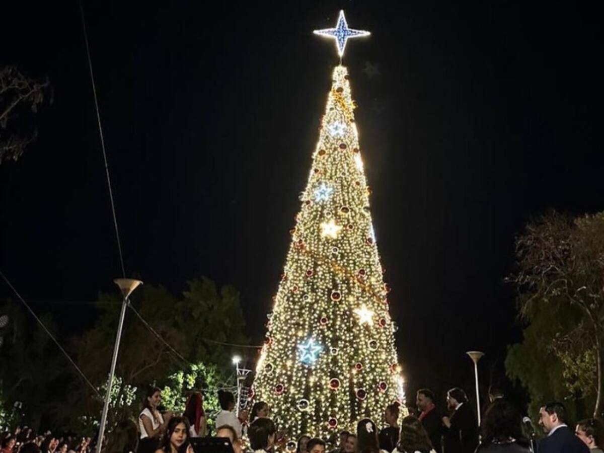 La Granja ilumina la Navidad con un espectáculo inédito de encendido de árboles navideños
