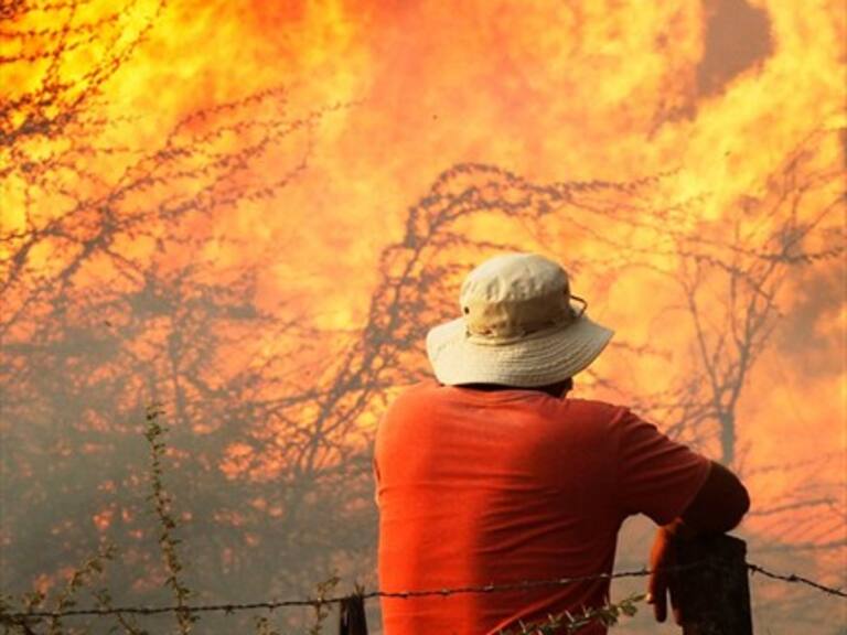 Dos gerentes de CGE quedaron en prisión preventiva por incendio forestal en Región de O’Higgins