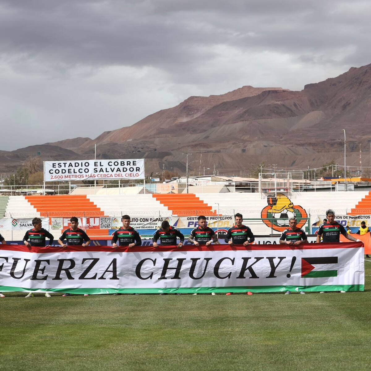 “No hay de dónde agarrarse”: el pesimismo en Palestino en la lucha por dar caza a Coquimbo Unido