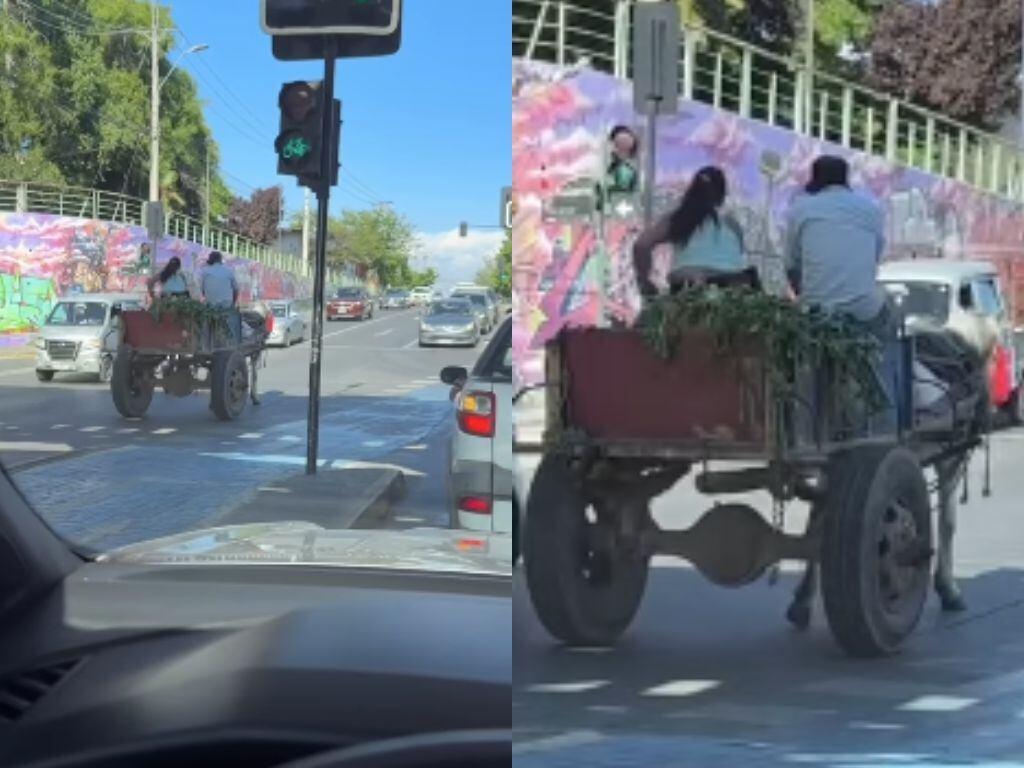 Capturas