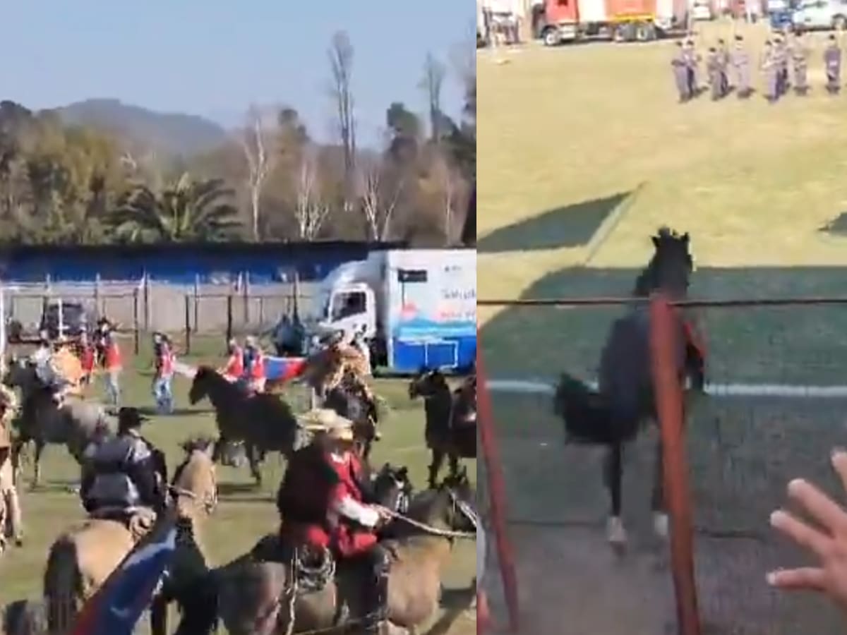 Grave incidente en desfile de Fiestas Patrias: caballo descontrolado deja varios heridos en Requínoa