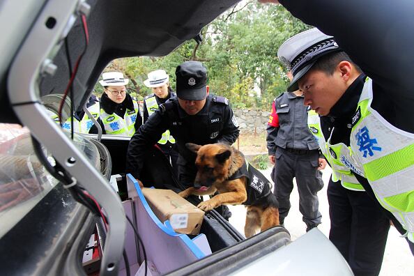 Entrenamiento de perros policía en China / Getty Images