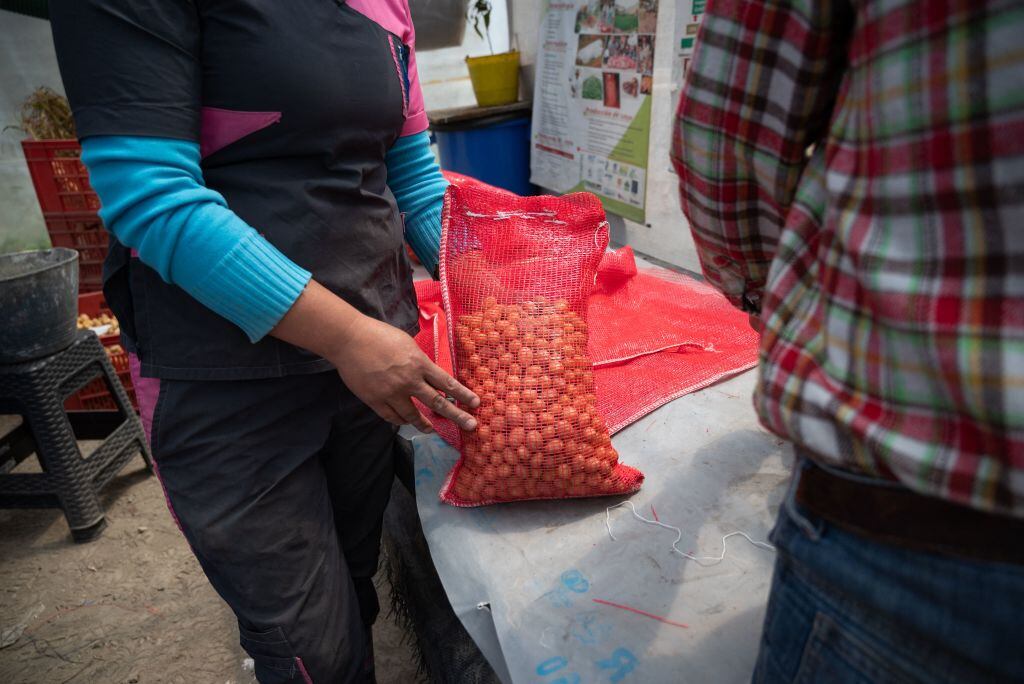 Compra de semillas de verduras en un mercado de alimentos en Venezuela