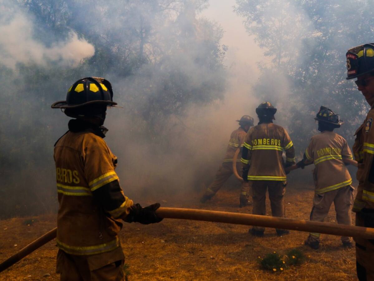 Senapred declara Alerta Amarilla para toda la región del Maule por incendios forestales