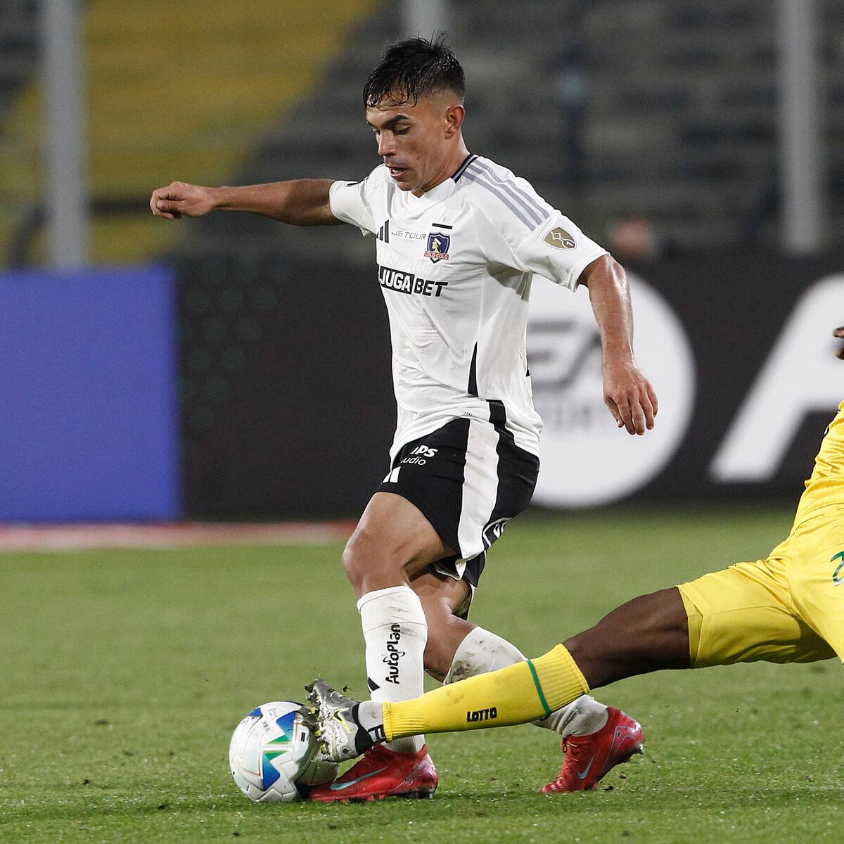 Vicente Pizarro lanza contundente mensaje tras ratificación de Jorge Almirón en Colo Colo