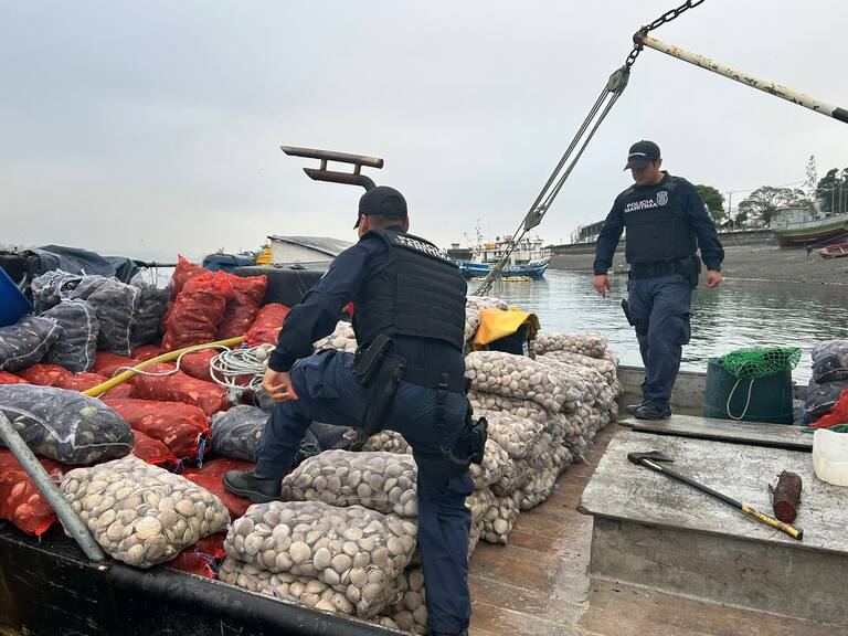 Región de Los Lagos: Detectan embarcación con productos contaminados con marea roja en Calbuco