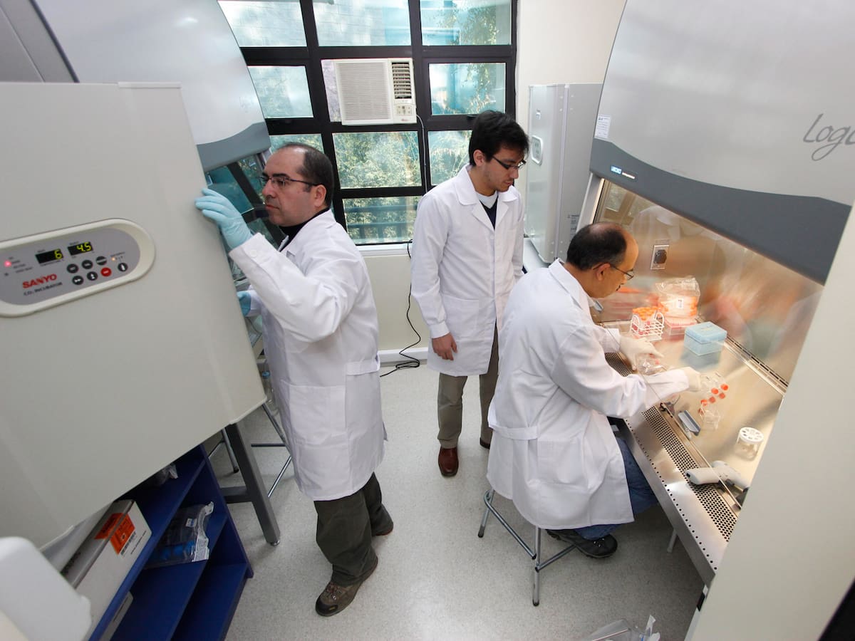 Universidad Católica del Maule celebra 10 años impulsando el desarrollo oncológico