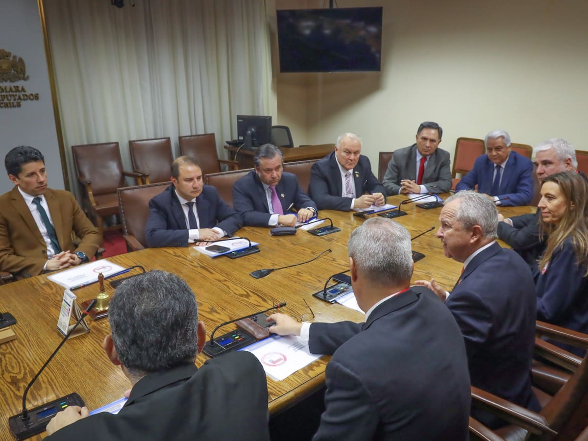 Comité Olímpico de Chile solicita aumento extra a los montos destinados al deporte en la Ley de Presupuestos 2025