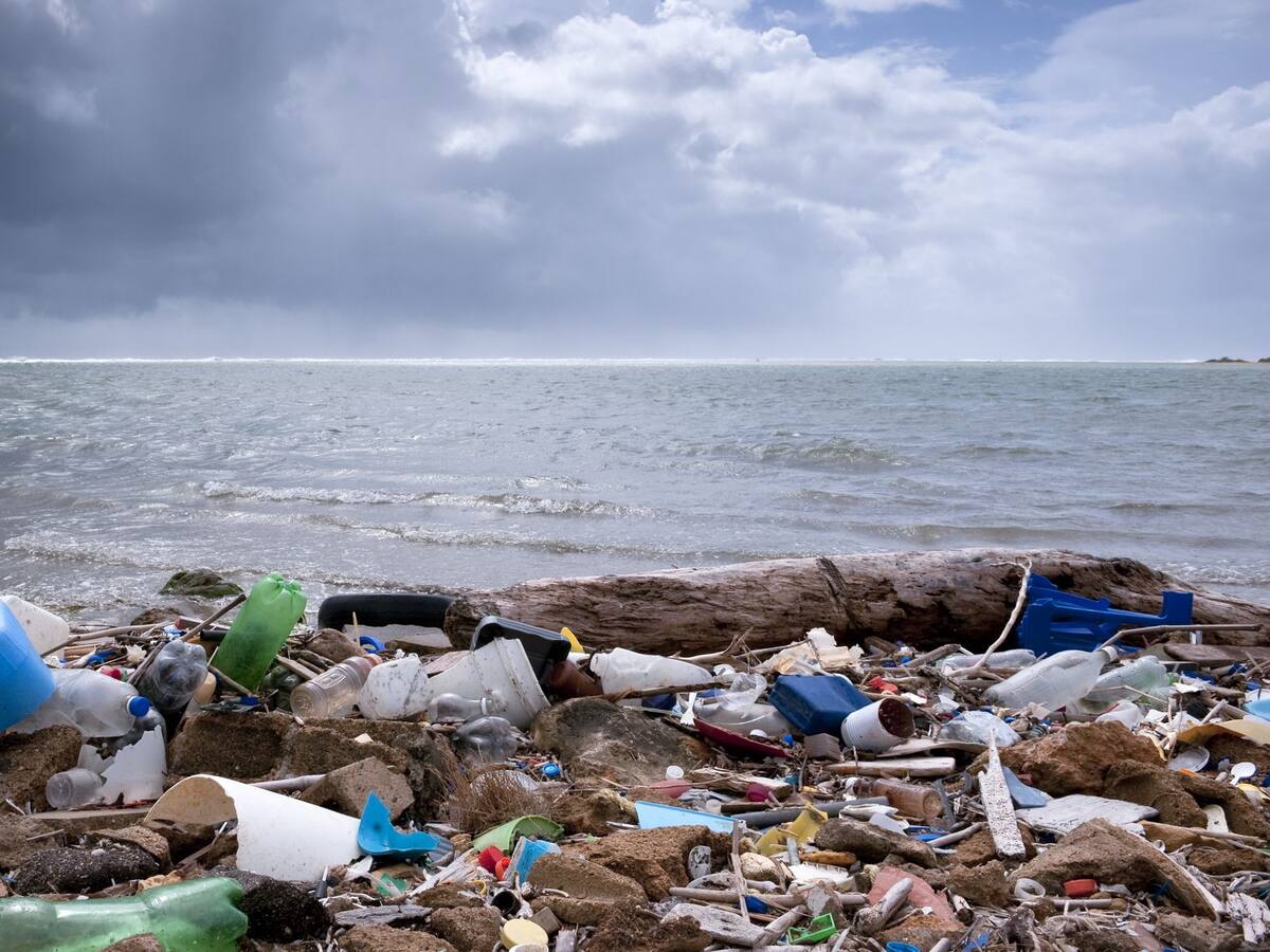 Estudio confirma contaminación por plástico en el borde costero chileno