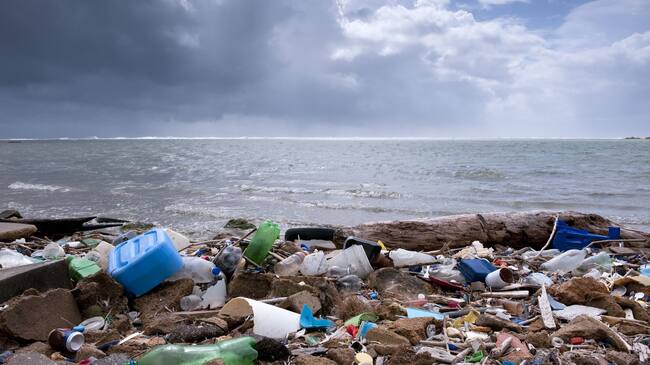 trash on the beach