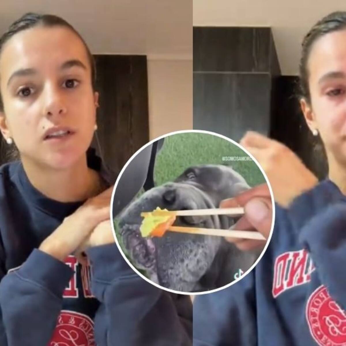 “Fue de inocente”: video de Josefa Sáez dándole wasabi a su perro causa fuerte polémica en redes sociales