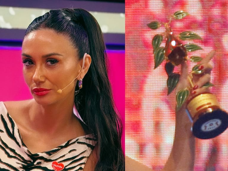 La increíble equivocación con Pamela Díaz: le informaron que ganó un Copihue de Oro y no era cierto