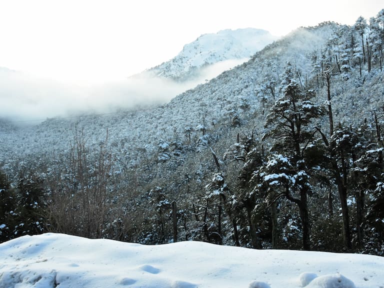 Nieve en Santiago: qué es la isoterma cero y cómo influye en el fenómeno meteorológico de la capital