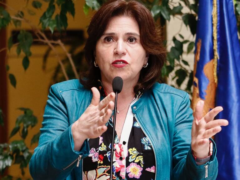 Gobierno acompañará y dará urgencia a la reforma para el cese del cargo de parlamentarios que agredan a otros