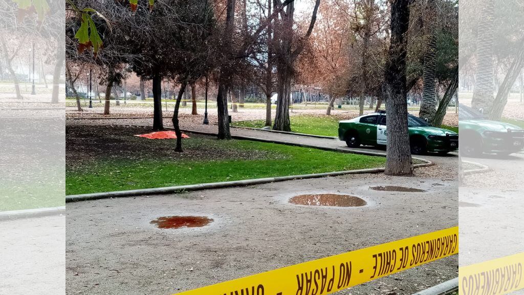 Parque Forestal, 1024x576 jpg ok