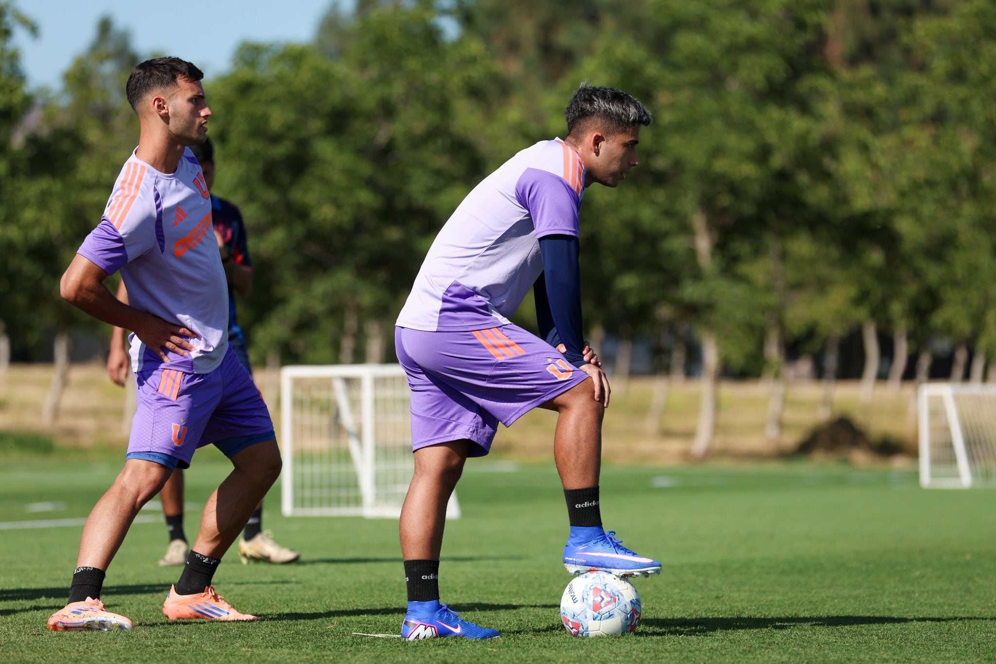 Foto: @udechile