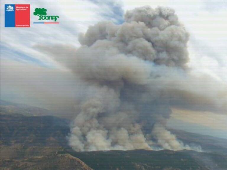 Región de O´Higgins: gigantesco incendio forestal provoca la evacuación de los sectores de La Mina y Lagunillas 
