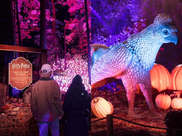 Harry Potter llega por primera vez a Chile con la experiencia del Bosque Prohibido en Quinta Normal