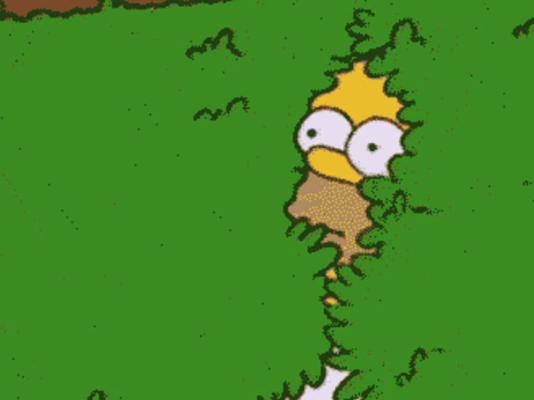 Usuarios de redes sociales aseguran que piedra ubicada en Bolivia es «igual» a Homero Simpson