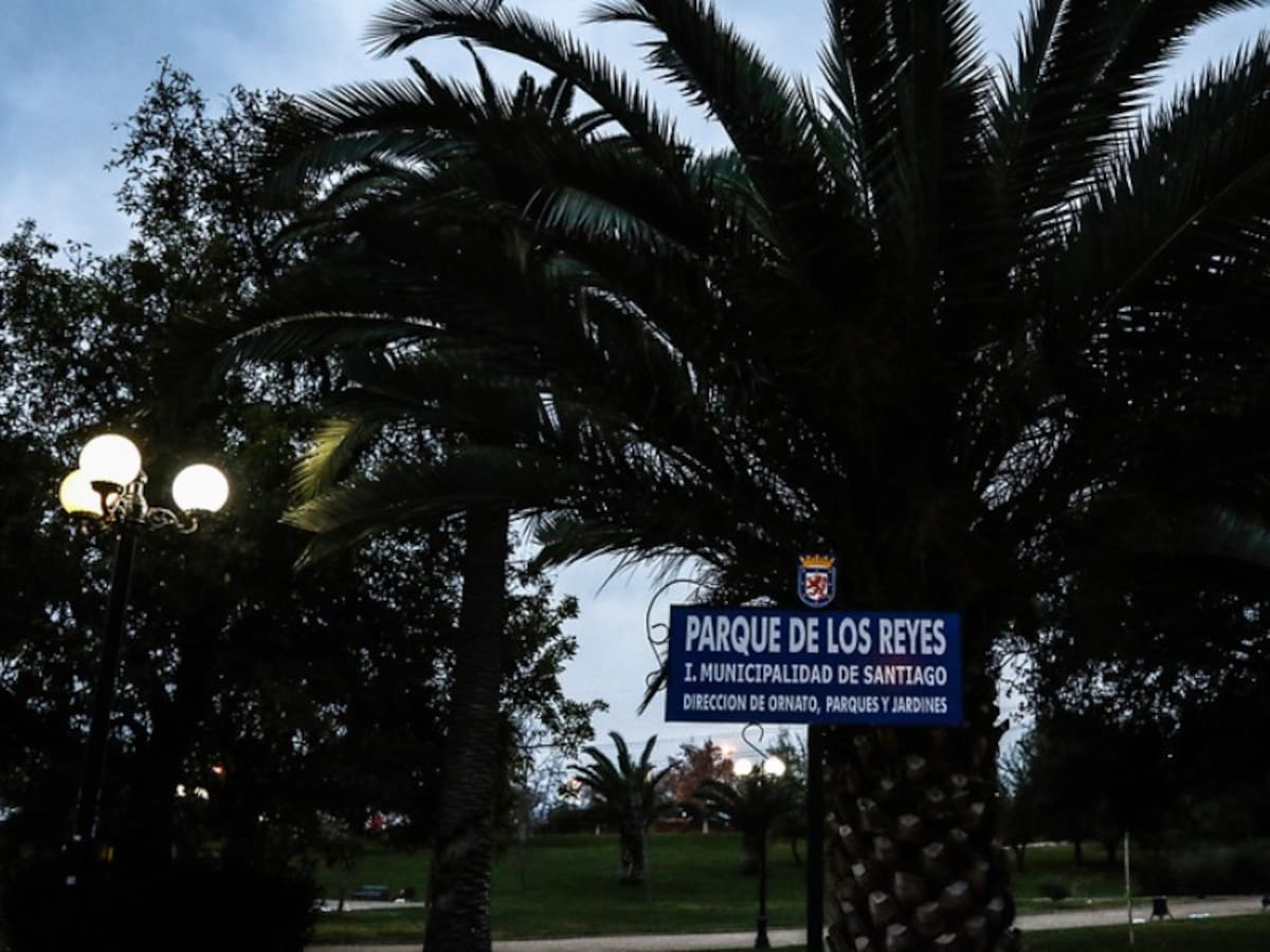 Denuncian disturbios en Parque Los Reyes por presencia de barra brava colombiana