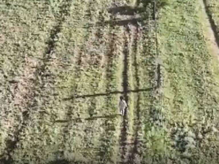 Dron logra dar con el paradero de niña de 3 años desaparecida en Argentina