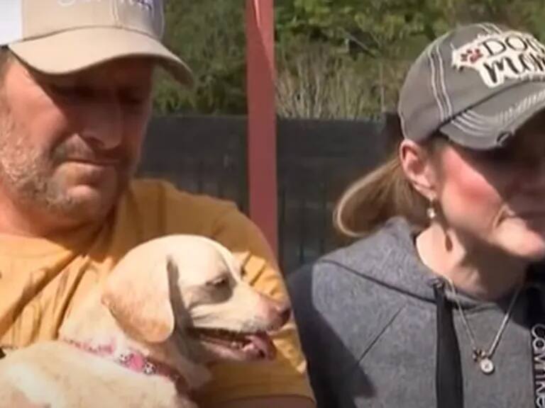 Increíble reencuentro: perrita desaparecida hace 5 años regresa a casa tras ser hallada a 800 km